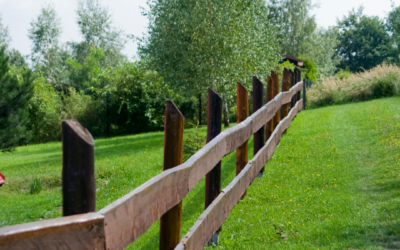 5 façons d’établir vos limites saines