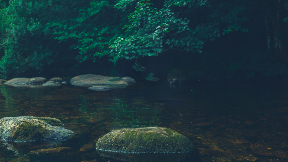 LEES-comprendre-sa-mémoire2